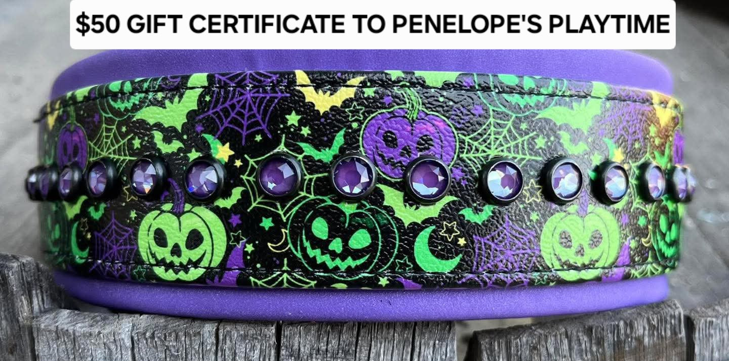RAFFLE TICKET TO BENEFIT DOBIES AND LITTLE PAWS RESCUE
