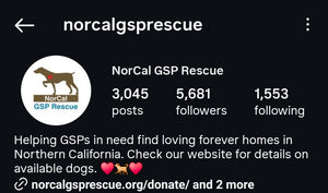 RAFFLE TICKET TO BENEFIT NORCAL GSP RESCUE