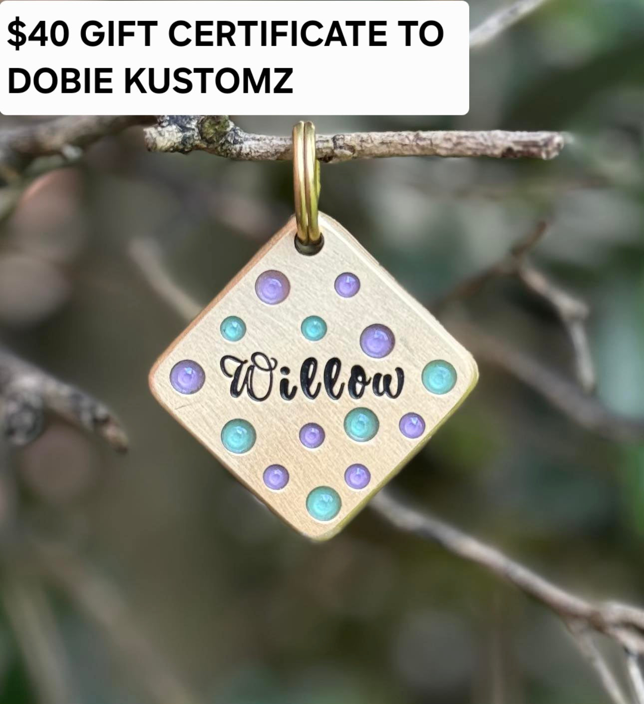 RAFFLE TICKET TO BENEFIT DOBIES AND LITTLE PAWS RESCUE